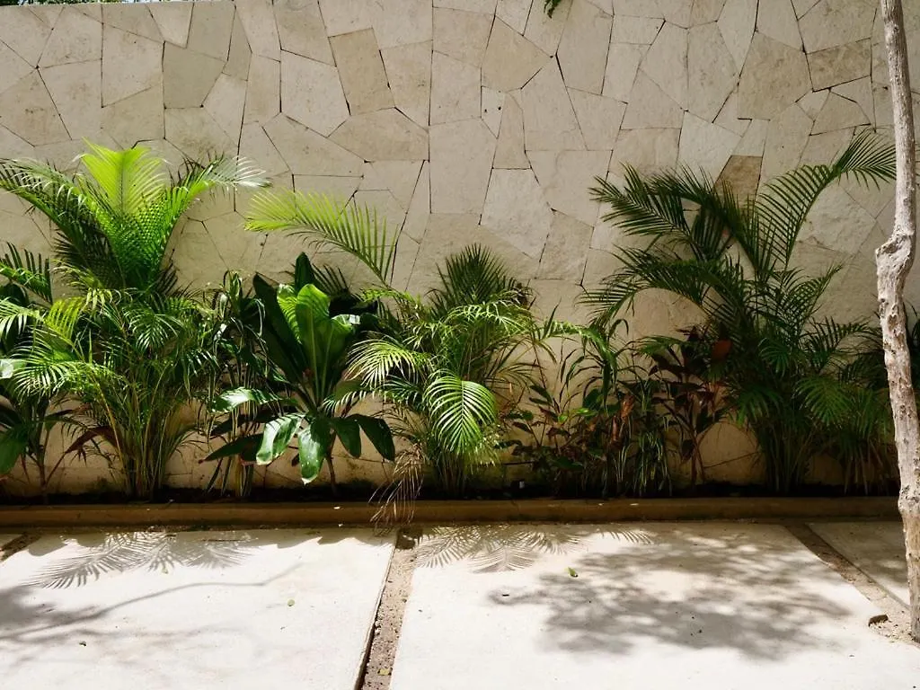 Taanah Apartment Tulum